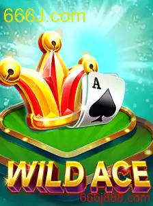Menjelajahi Sensasi dalam Dunia Permainan 'WildAce' dan Konsep '666J.com'